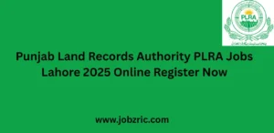 Punjab Land Records Authority PLRA Jobs Lahore 2025 Online Register Now
